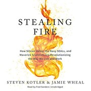 Обложка книги «Stealing Fire»
