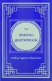 Обложка книги «The Bardo Guidebook»